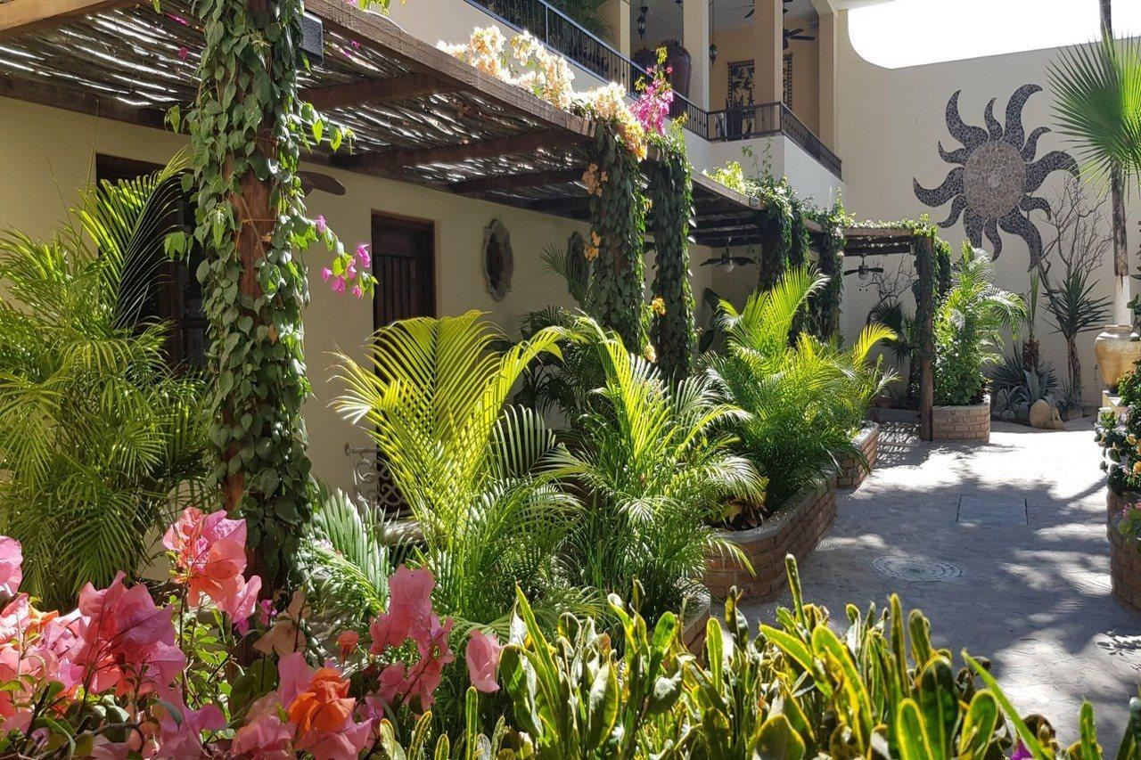 Posada De Las Flores La Paz Eksteriør bilde