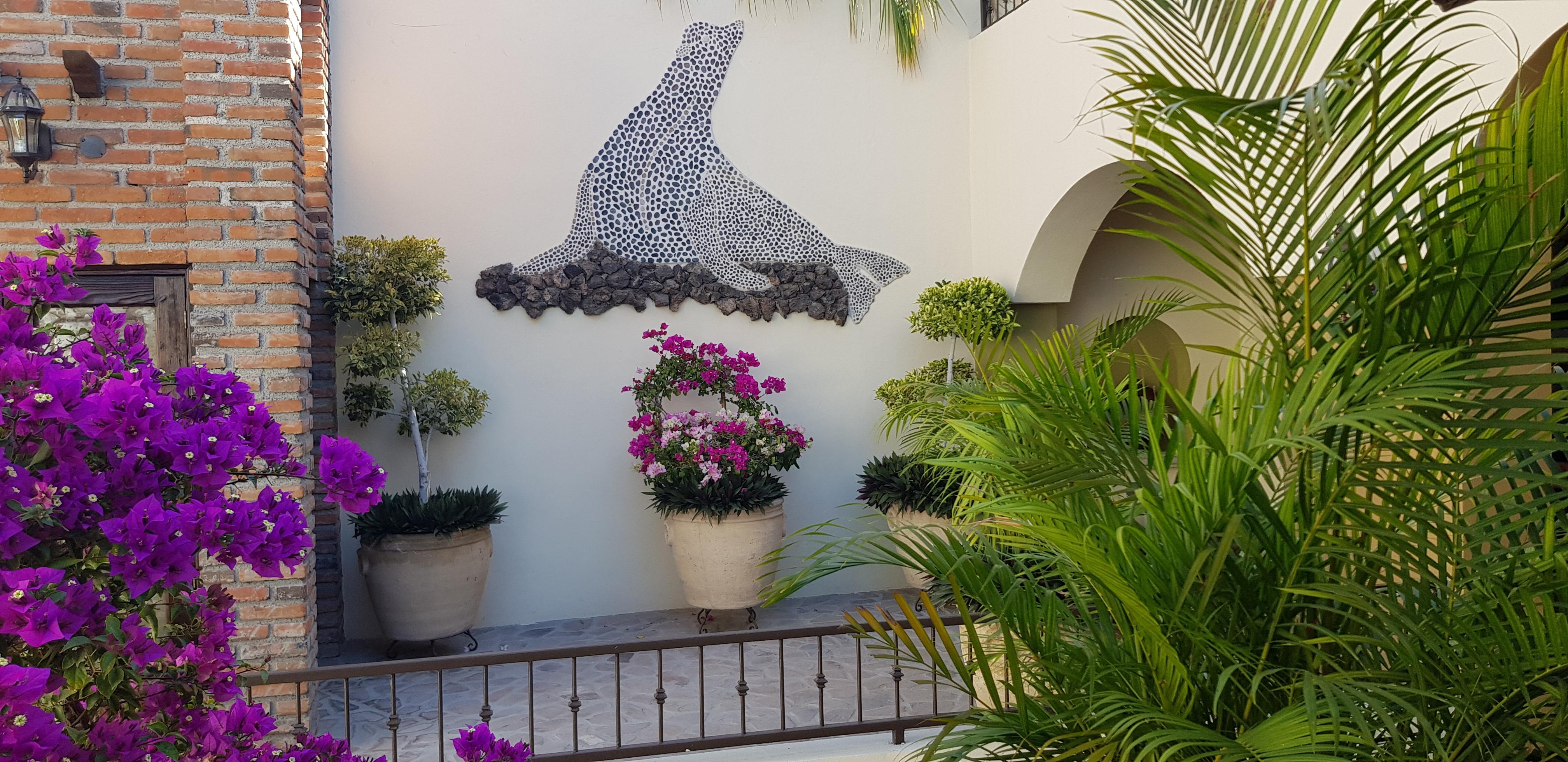 Posada De Las Flores La Paz Eksteriør bilde